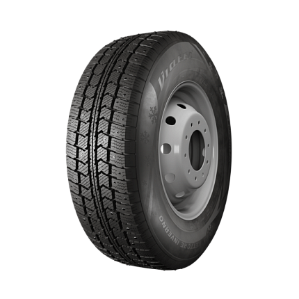 Vettore Inverno V-524