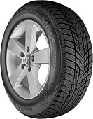 205/65 R15 Nexen Winguard ice Plus 99T TL